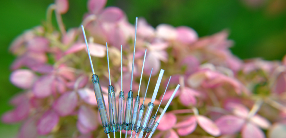 Un gros plan de plusieurs aiguilles d’acupuncture tenues verticalement, avec des fleurs roses floues et un feuillage vert en arrière-plan, incarnant l’équilibre et l’efficacité énergétique de la technologie des interrupteurs à lames souples. par Standex Detect