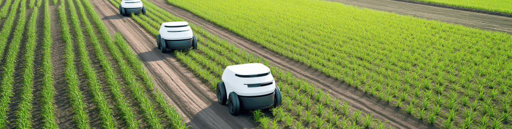 Autonome